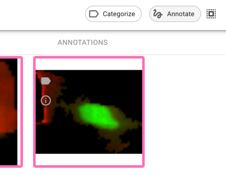 _images/piximi_annotate.png